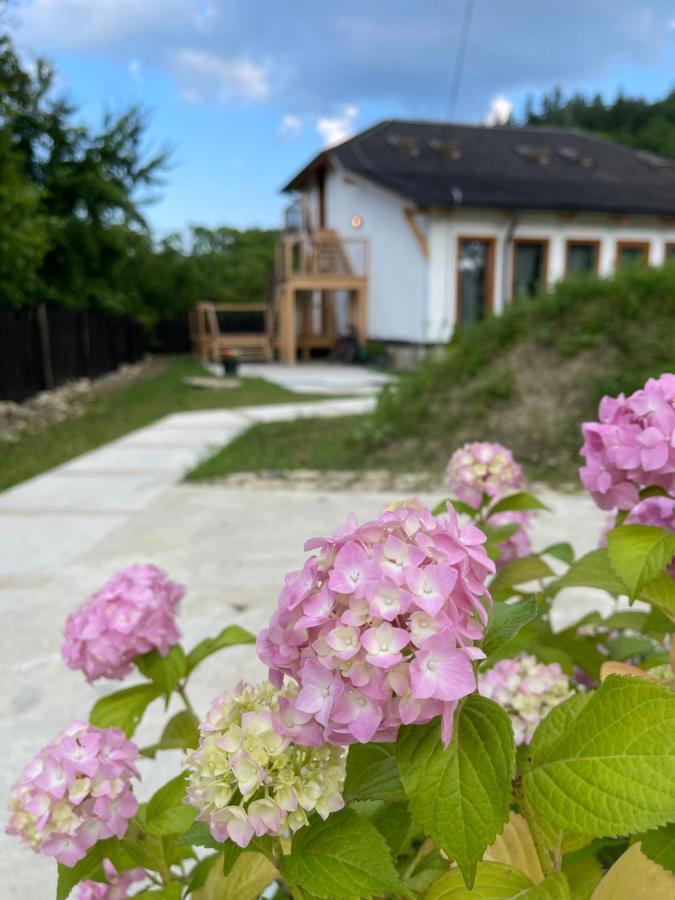 Casa Thymus Villa Soveja Exterior foto